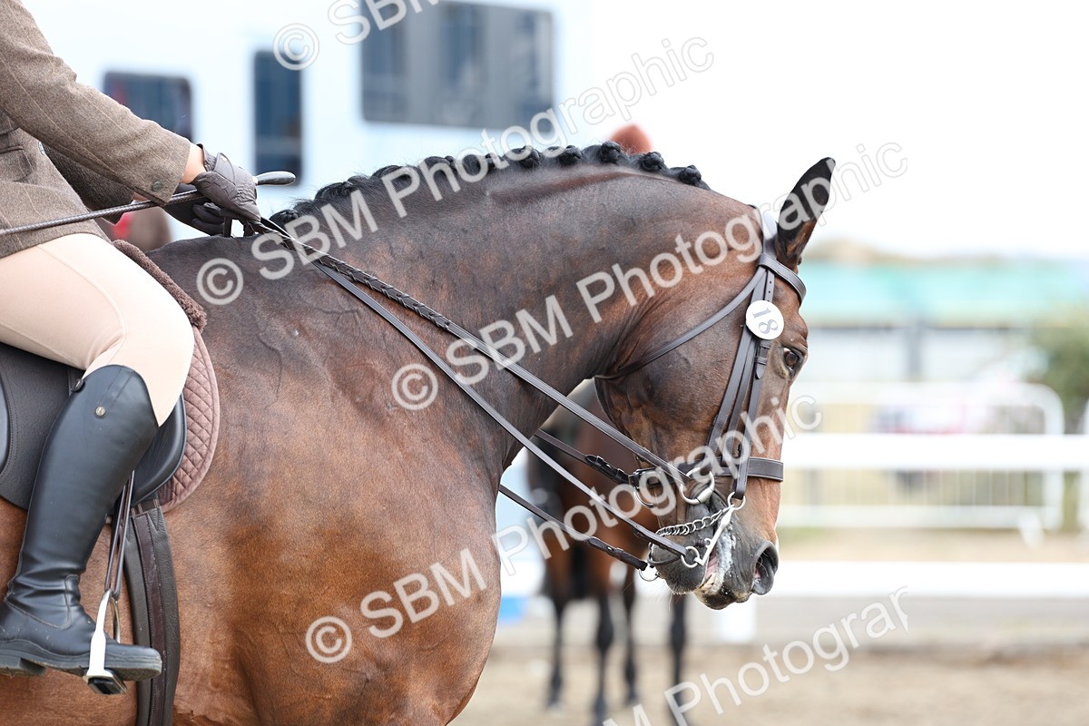 SBM_01505 - Class 52 - Ridden Veteran