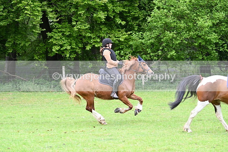 WJ7_2968 - Group 10 A&B Cameras