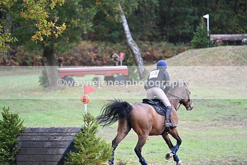 WJ7_5376 - Time 13:00 to 13:18