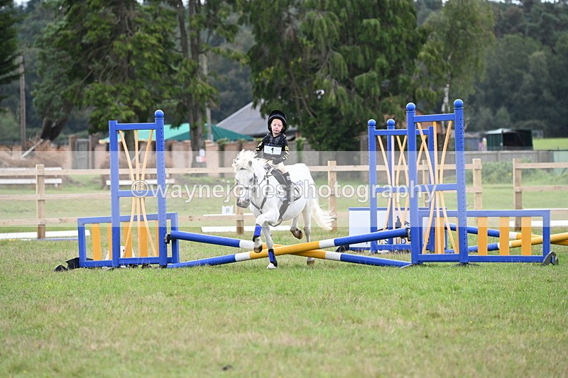 WJ6_0147 - 40cm Time 10:00 to 10:28