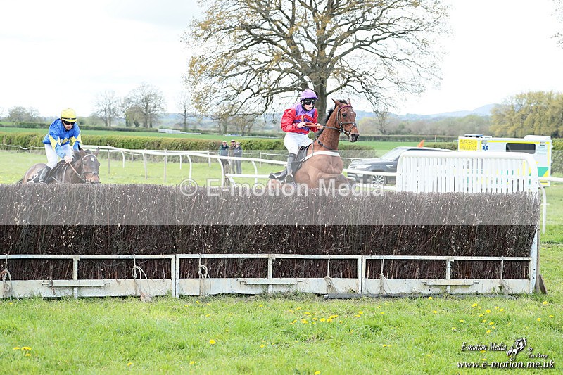 PtP 180426 116 - Worcestershire Hunt PtP Chaddesley Corbett 18/04/26