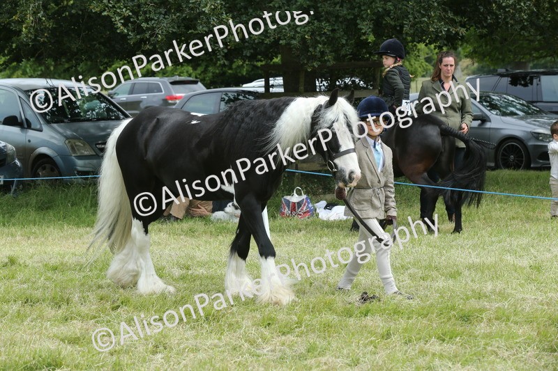 20260614-4256 - Class 18 - Best Junior Handler