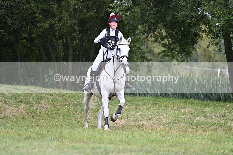 WJ7_8523 - 80cm XC Time 15:45 to 16:02