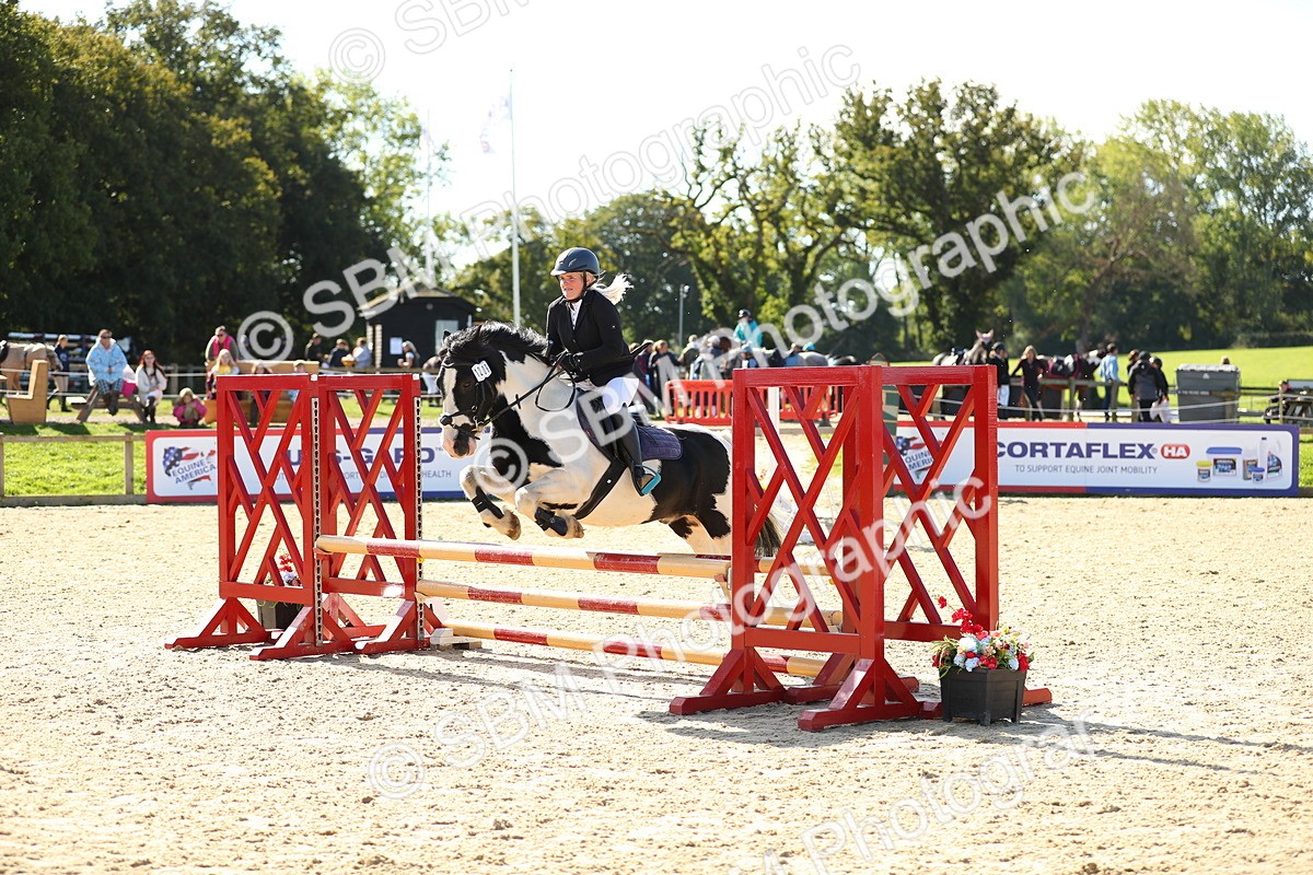 SBM_17720 - J33 - Senior 75cm Championship