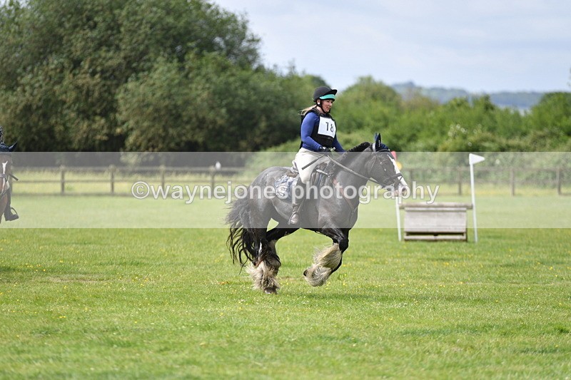 WJ5_2823 - Class 3 60cm Pairs