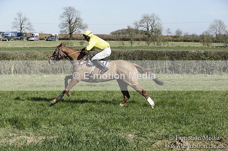 PtP 250317 130 - V.W.H. Hunt Point-to-Point Siddington 25/03/17