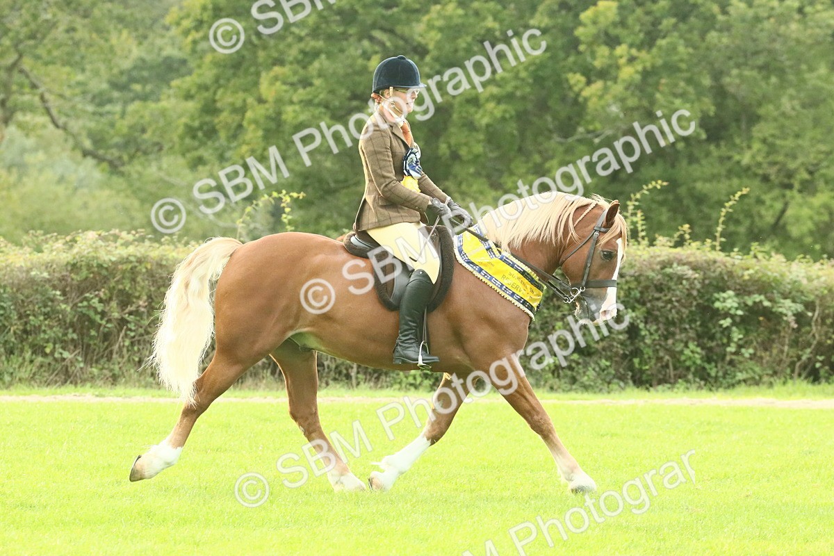 SBM_75341 - Super Supreme Championship