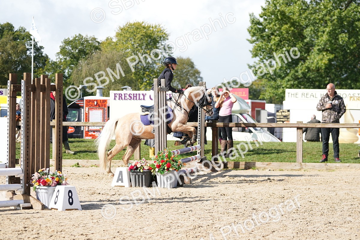 SBM_38487 - J6 - Junior Pony 55cm Championship