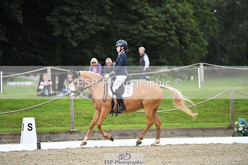 230812-123952-04186 - Cls 6 Novice Silver 12.10 to End