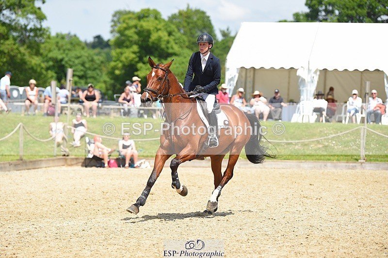 230528-121228-15581 - 318-JUST_HAVE_FAITH_TN-Alfie_Marshall-SUNTrotUp+SJ