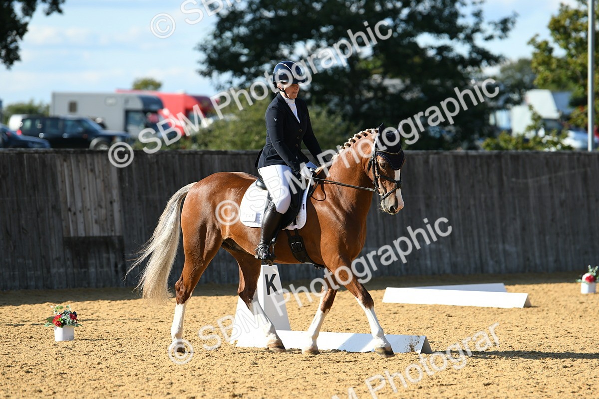 SBM_27296 - D16 - Small Tour Championship - Novice 28