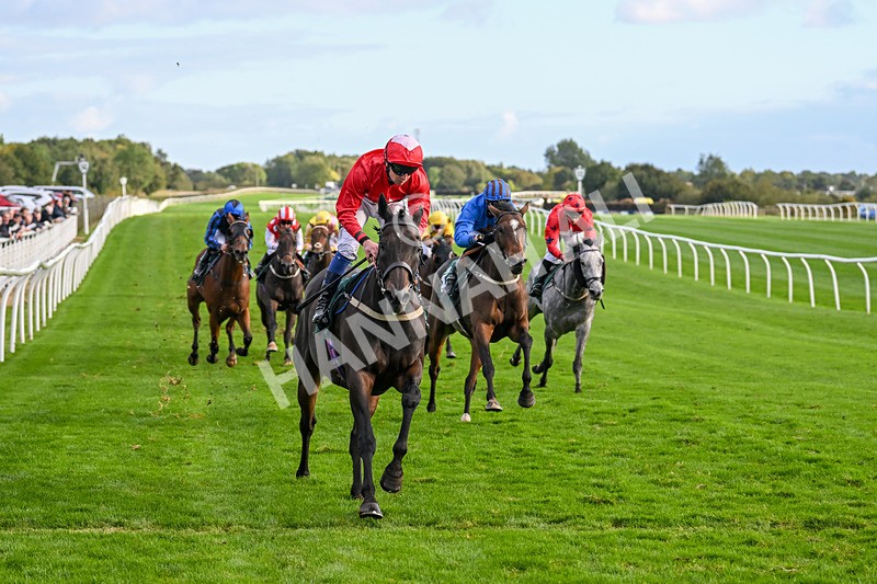 021024-Race 6-Redrosezorro-9653 - Race 6