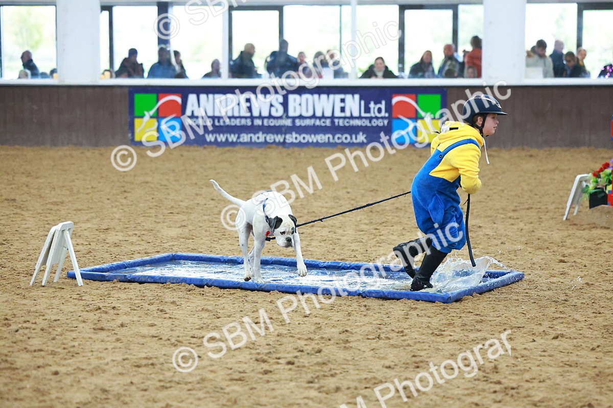 SBM_002301 - Class 3 - Horse & Hound (60cm)