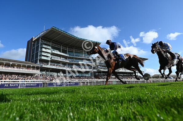 yr08102022r3-31 - Race 3 2.40pm The Coral 'Beaten-by-a-Length' Free Bet Handicap