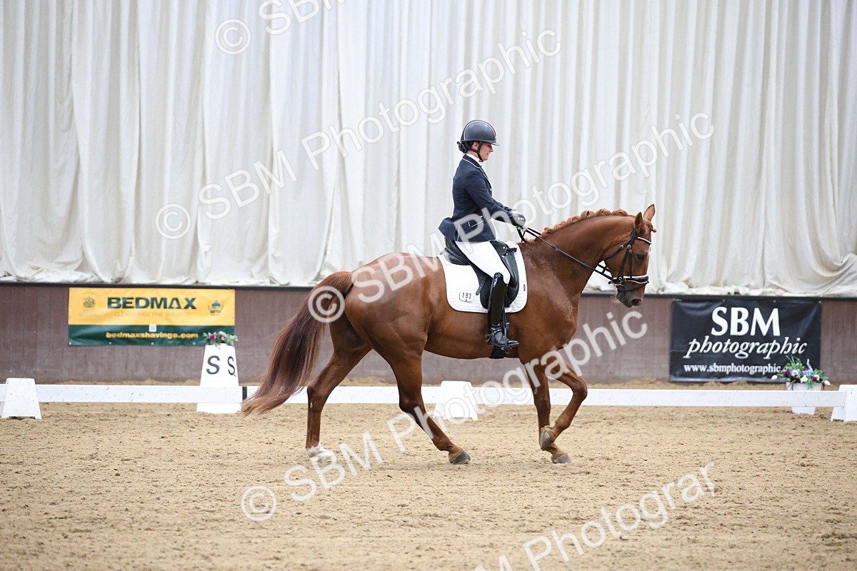 SBM_003273 - Class 5 - Novice 6 Gold - 11.41-12.51