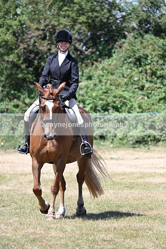 WJ7_2991 - Class 7 Riding Club Show Horse