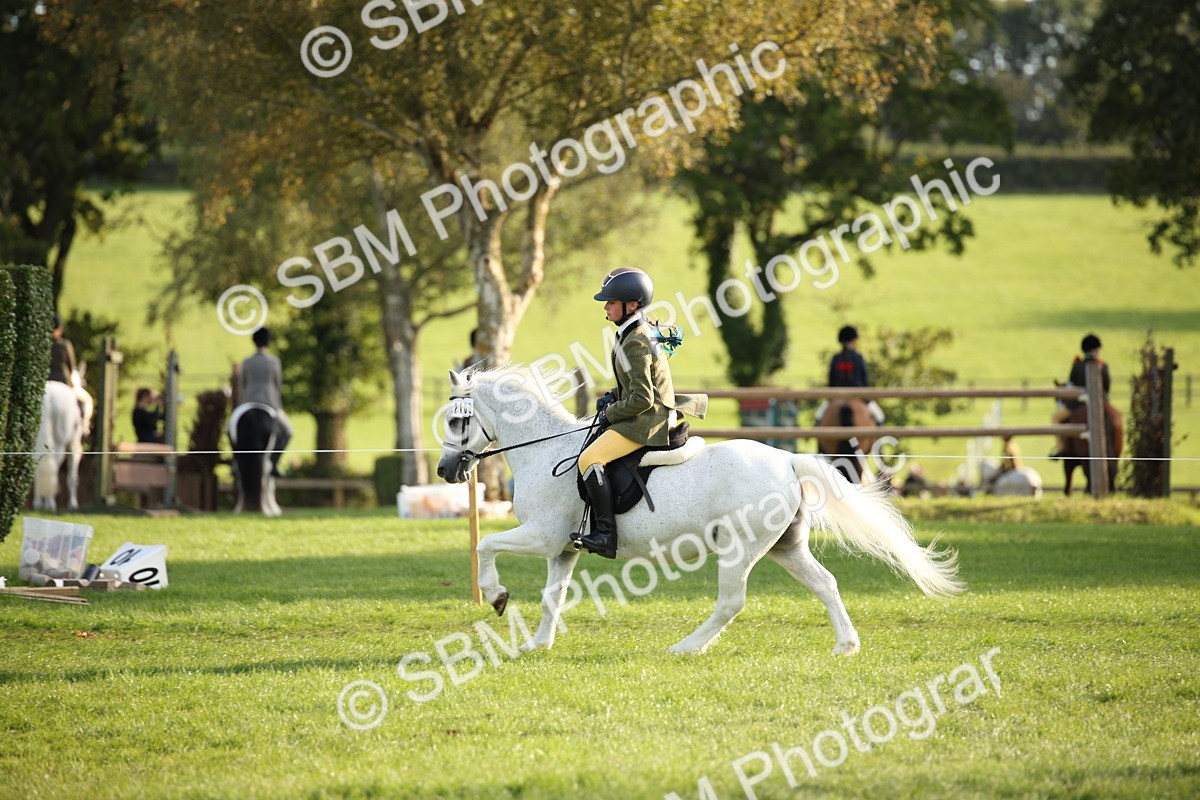 SBM_54346 - S27 - Mature Veteran - Ridden