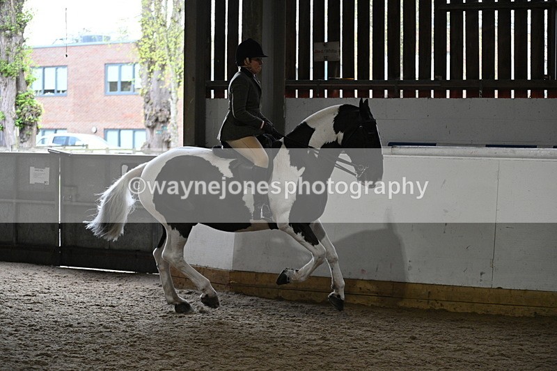 WJ7_3820 - Class 17 Ridden Cob