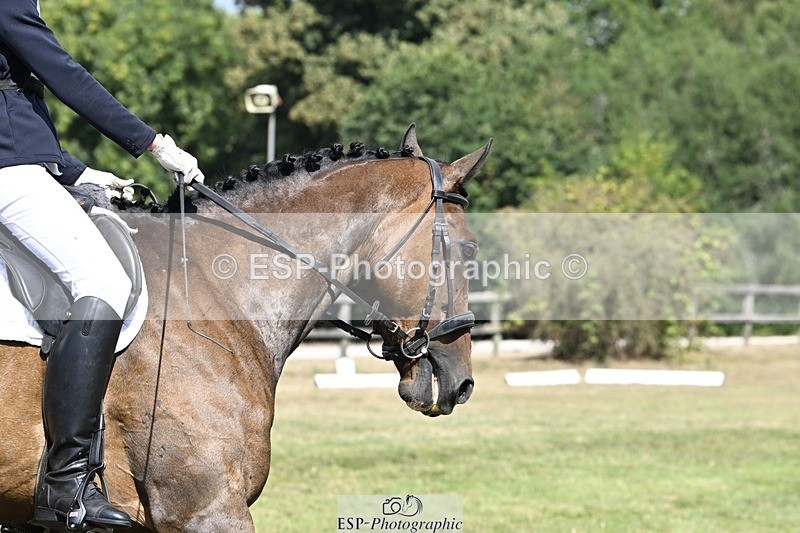 250822A-113236-22268 - DR 11.00 to 12.00