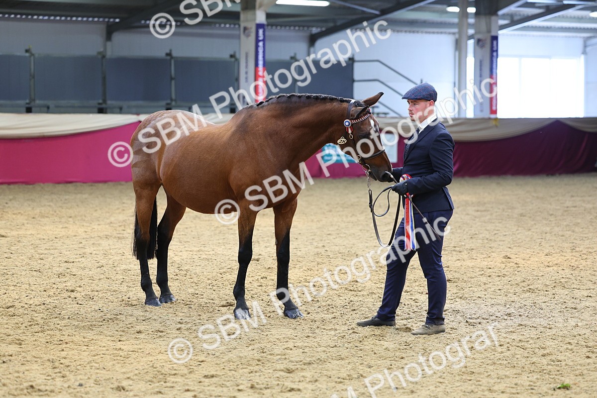 SBM_23244 - Supreme Final - IH Champion