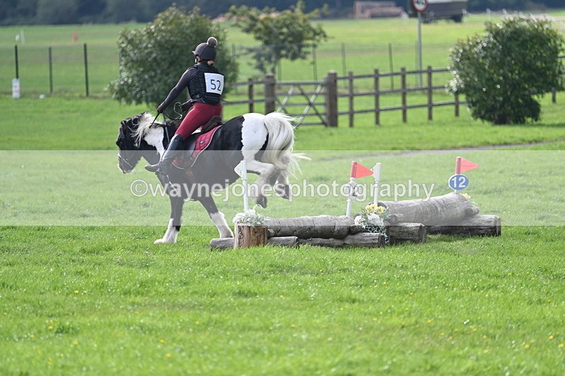 WJ7_3769 - 40cm Time 10:26 to 10:42