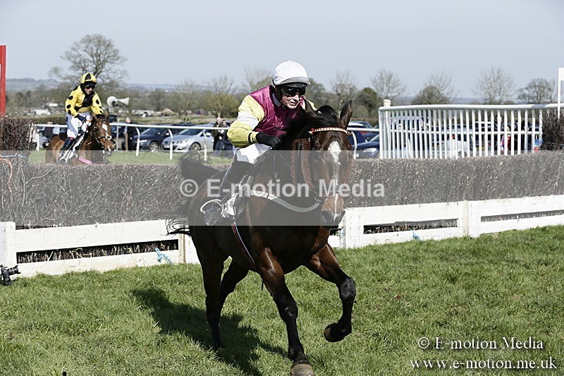PtP 260317 132 - Mendip Farmers Point-to-Point Ston Easton 26/03/17