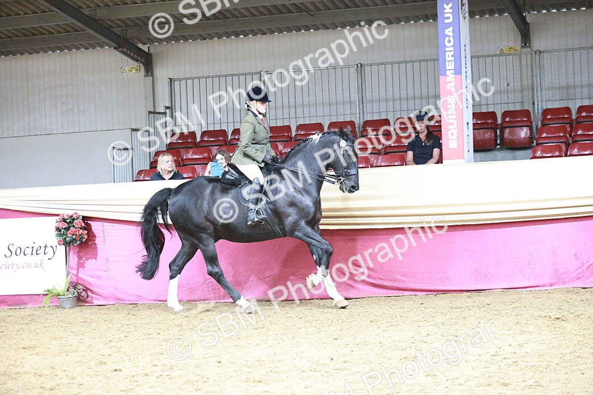 SBM_08771 - Class 12R - Regional Ridden Pre-Vet