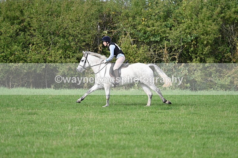 WJ7_8451 - 60cm Pairs