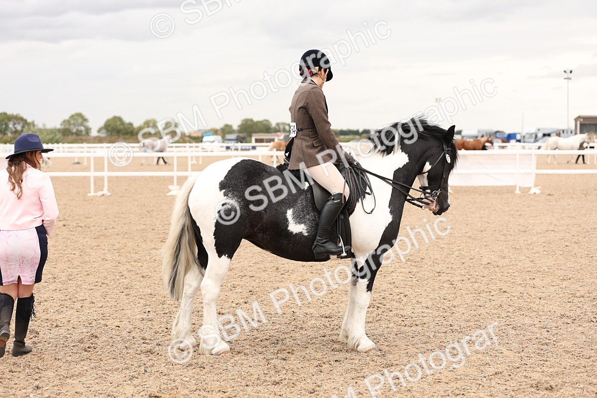 SBM_19698 - Class 216 - Ridden Traditional - Native Cob