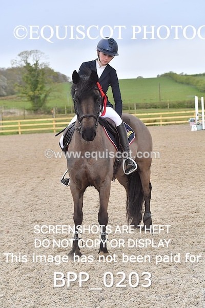 BPP_0203 - CLASS 1 FRI Club/ Unaffiliated 80cms Open