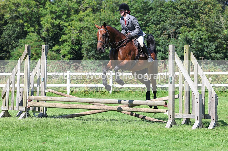 3E7A8298 - Class 4: Novice working Hunter