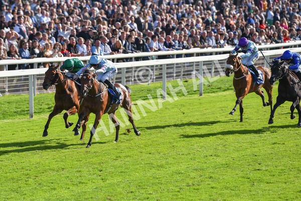 yr08102022r2-34 - Race 2 2.05pm The Coral Rockingham Stakes