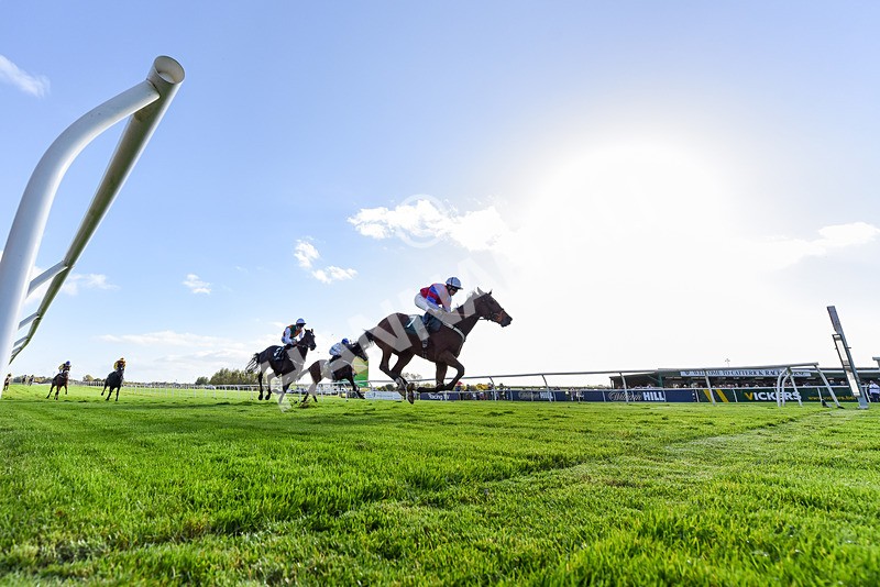 191024-Race 4-Three Dons-8423 - Race 4