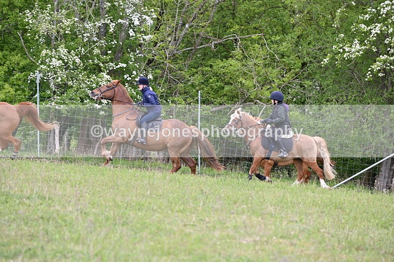 WJ6_2025 - Group 9 A&B Cameras