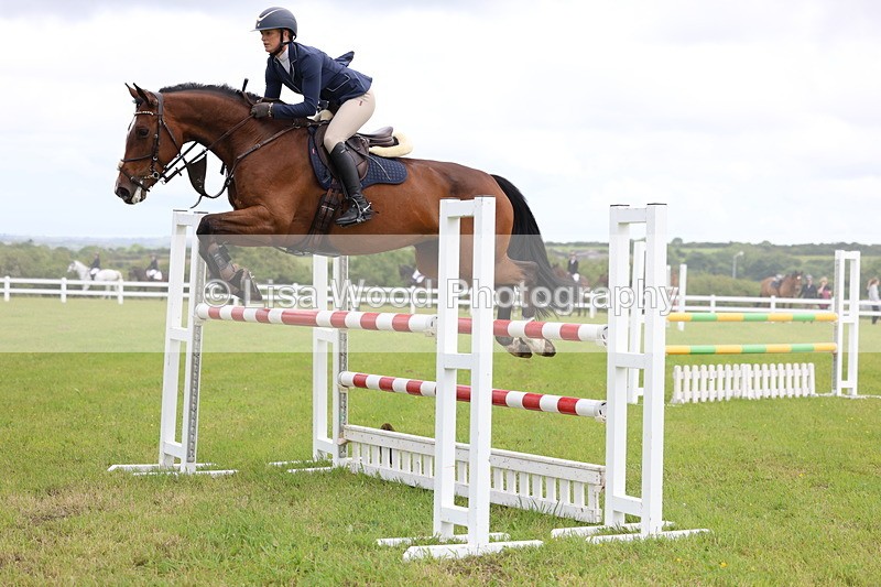 3E7A7135 - Class 12: Senior Foxhunter/1.20 open