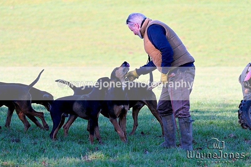 WJ7_2236 - Edited examples