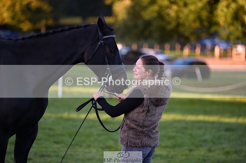 231022-083652-21257 - 657-WATERVALLEY.DIAMOND-Holly.Horton-TrotUp+SJ