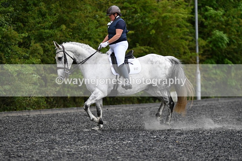 WJ5_2097 - Time 15:05 to 15:30