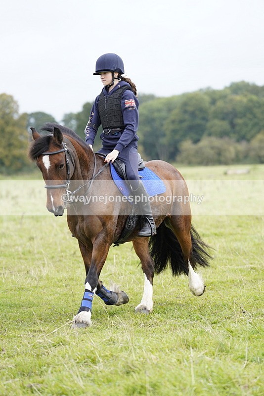 _DSC7664 - Time at Photographer 11:24 to 11:55