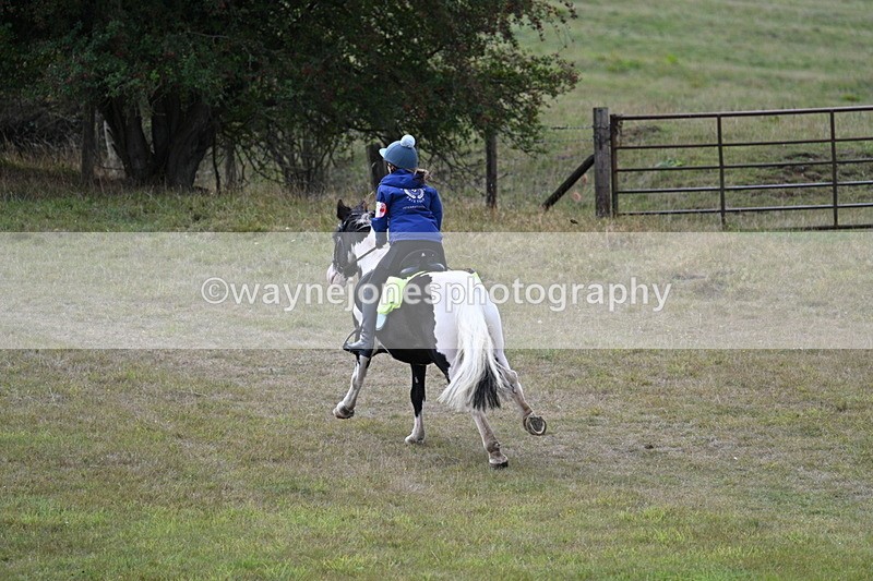 WJ7_5979 - Time 11:50 to 12:09