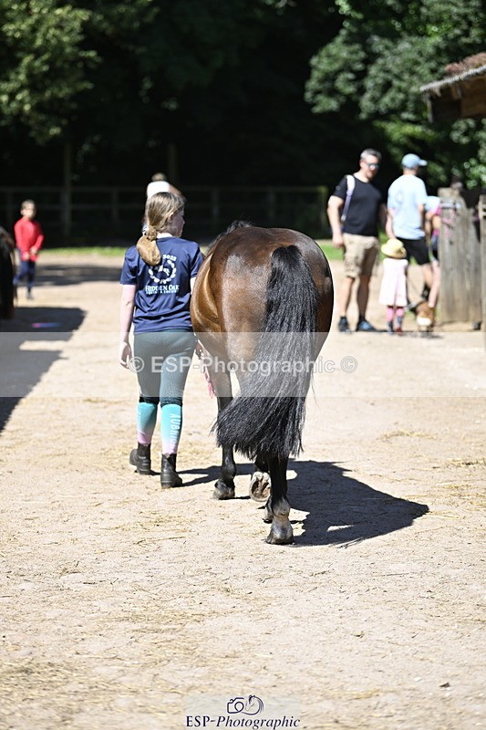 240728B-115242-00344 - Sunday Stable Shots and Fancy Dress