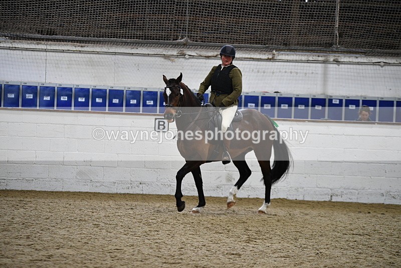 WJ5_7948 - Class 13 Ridden Part Breed