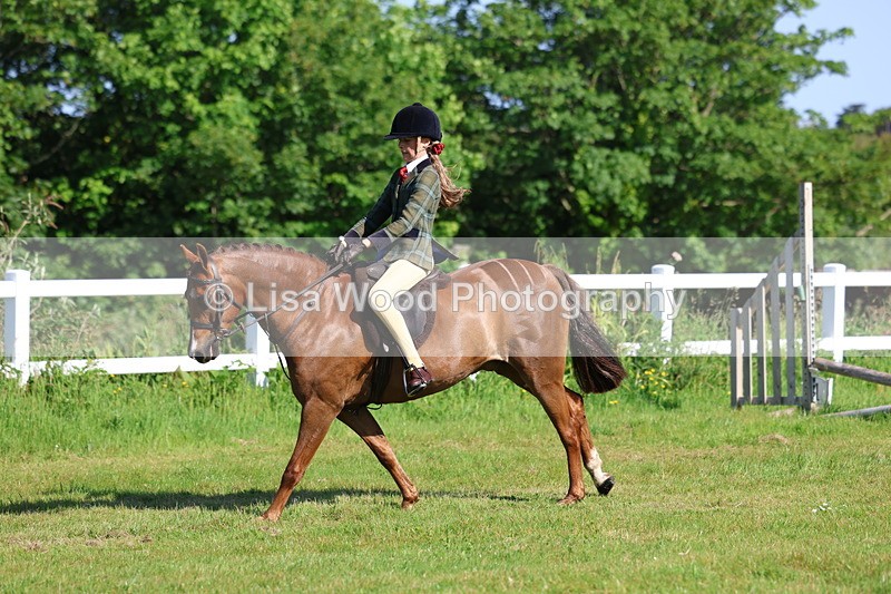 3E7A5989 - Class 27: Novice Working Hunter Pony