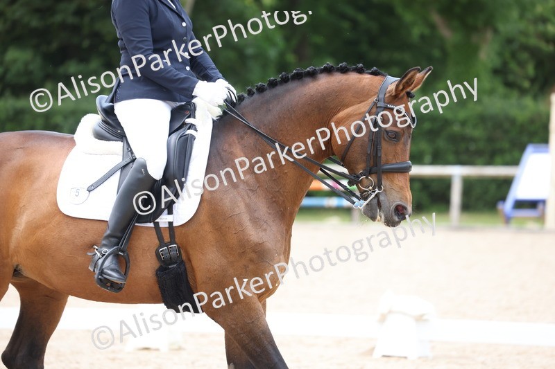 20250604-1065 - Class 7 - Medium 5