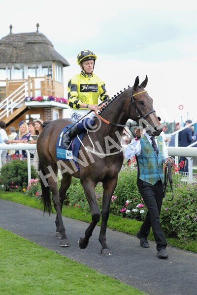 yr18082022r7-18 - Race 7 5.20pm British Stallion Studs EBF Fillies' Stakes