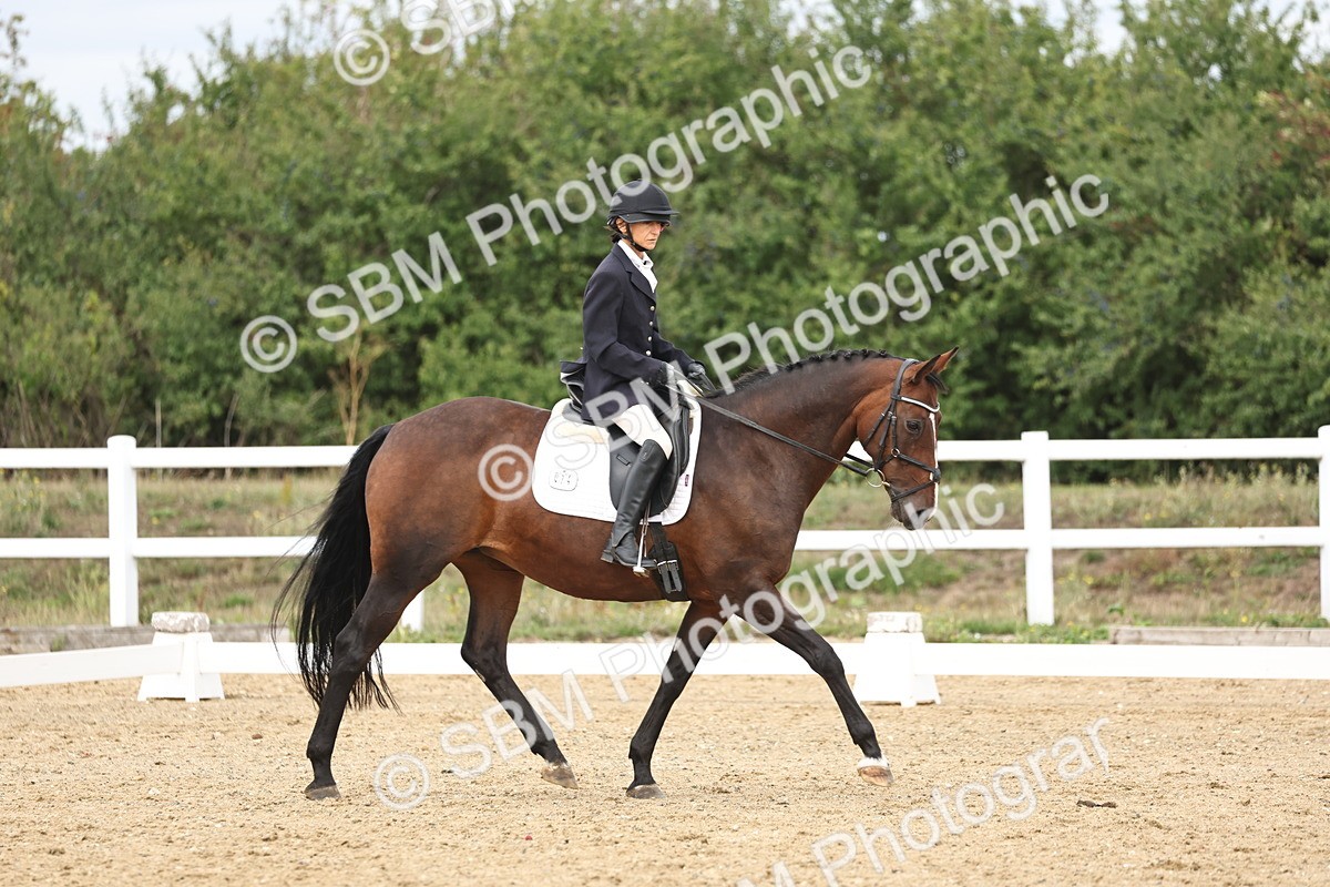 SBM_002686 - Class 7 - Novice 2 Warm Up