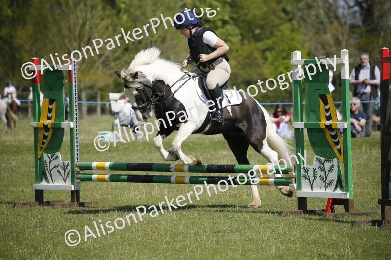 20250427-2228 - Class 13 - Novice Jumping 60cm