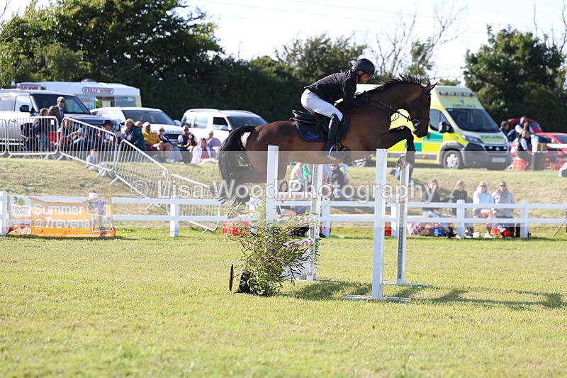 3E7A4331 - Class C: Showjumping Senior Foxhunter