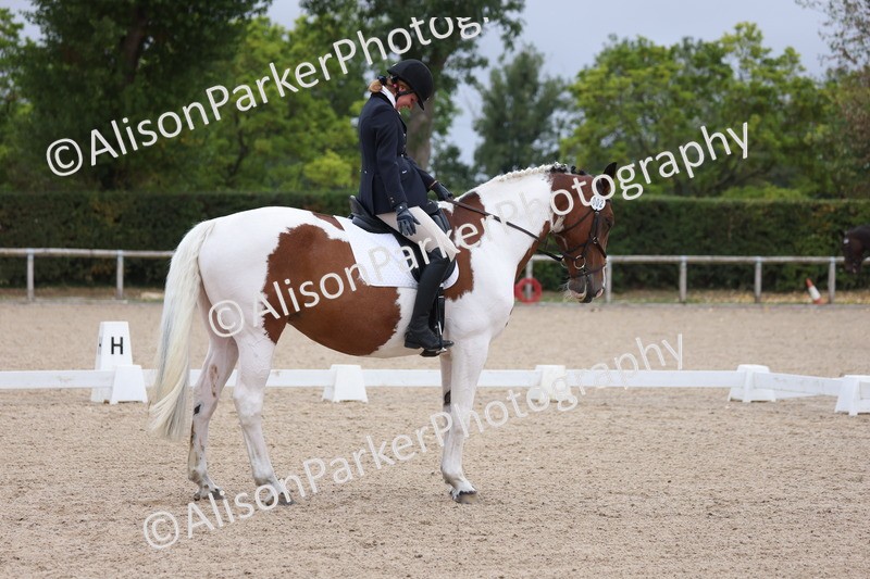 20250820-0171 - Class 9 - My Quest Prelim 3