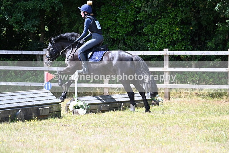 WJ7_0486 - 40cm Time 12:10 to 12:20